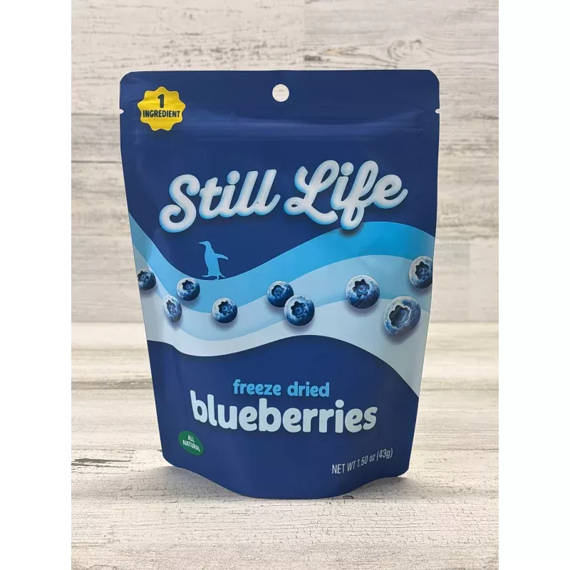 Still Life Freeze-Dried Blueberries