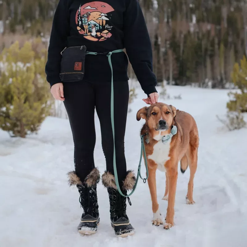 Summit Hands Free Leash - Solid Color