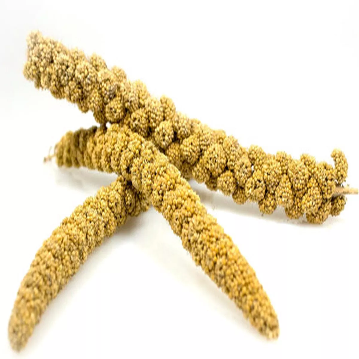 Sunseed Spray Millet 5lb.