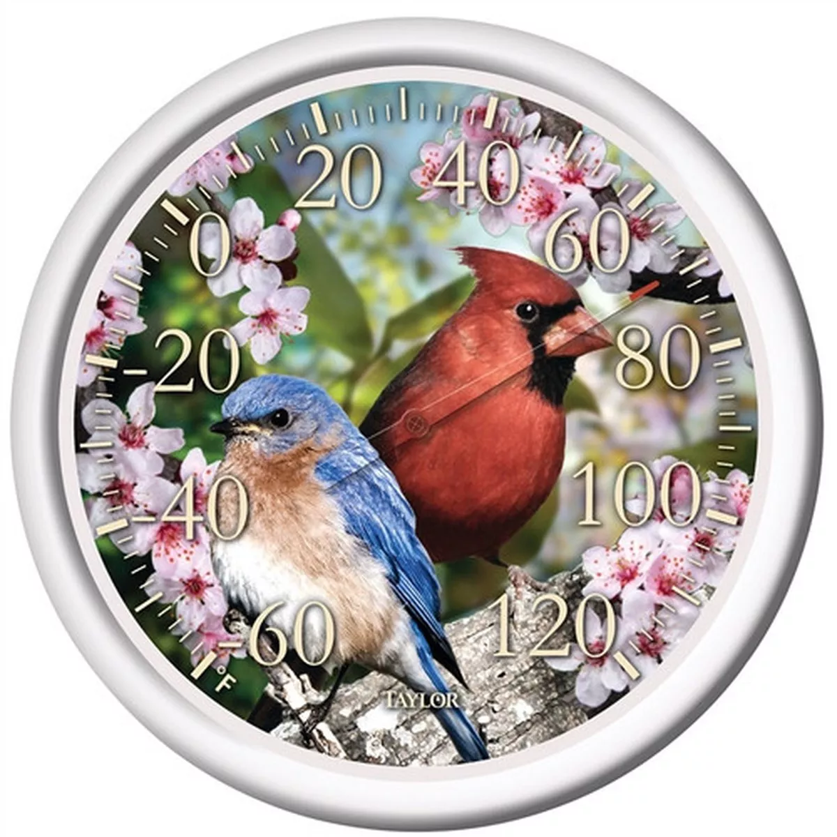 Taylor Bluebird & Cardinal Dial Thermometer