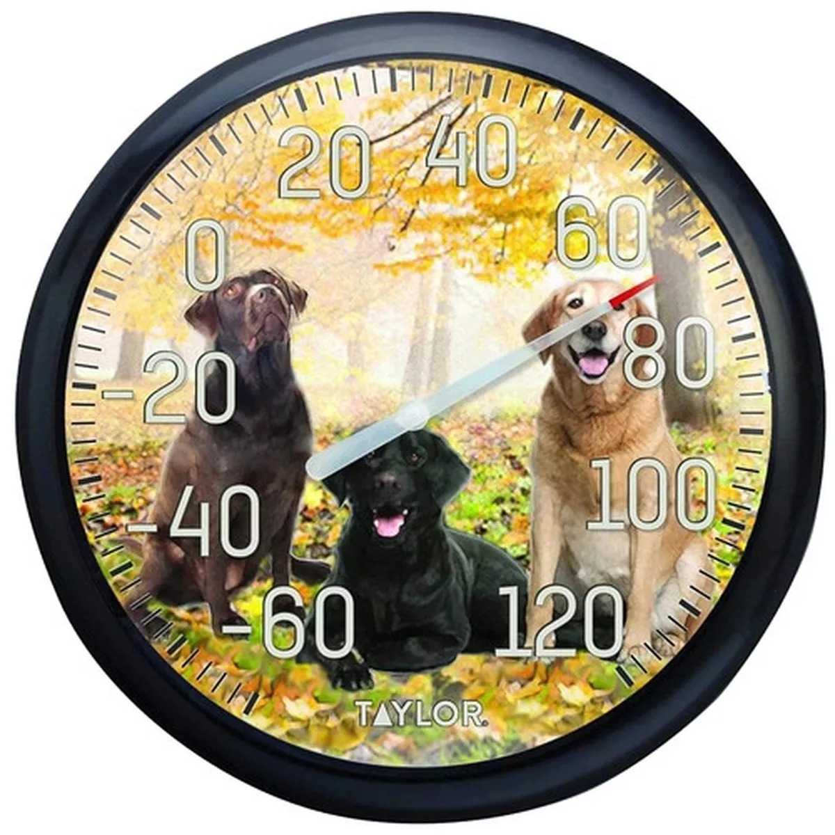 Taylor Labrador Dial Thermometer