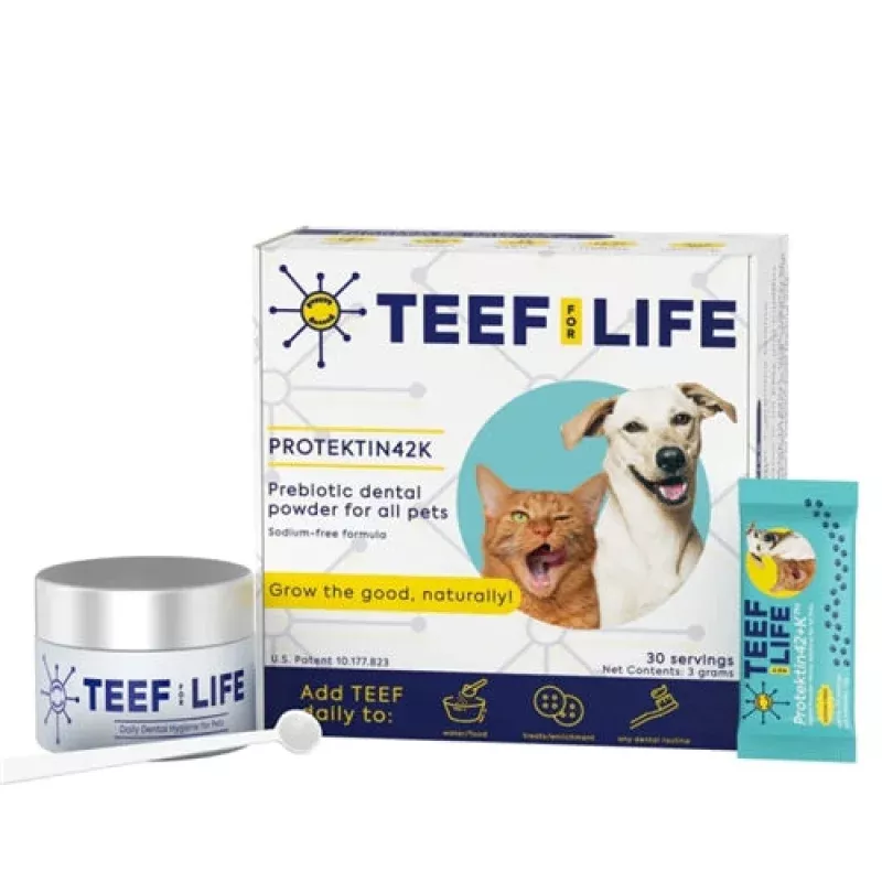 TEEF - Protektin42K - Prebiotic Dental Powder Kit