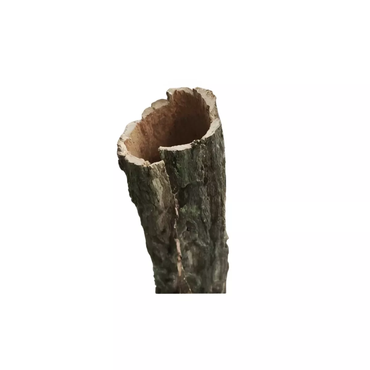 TREE BARK 15-55cm