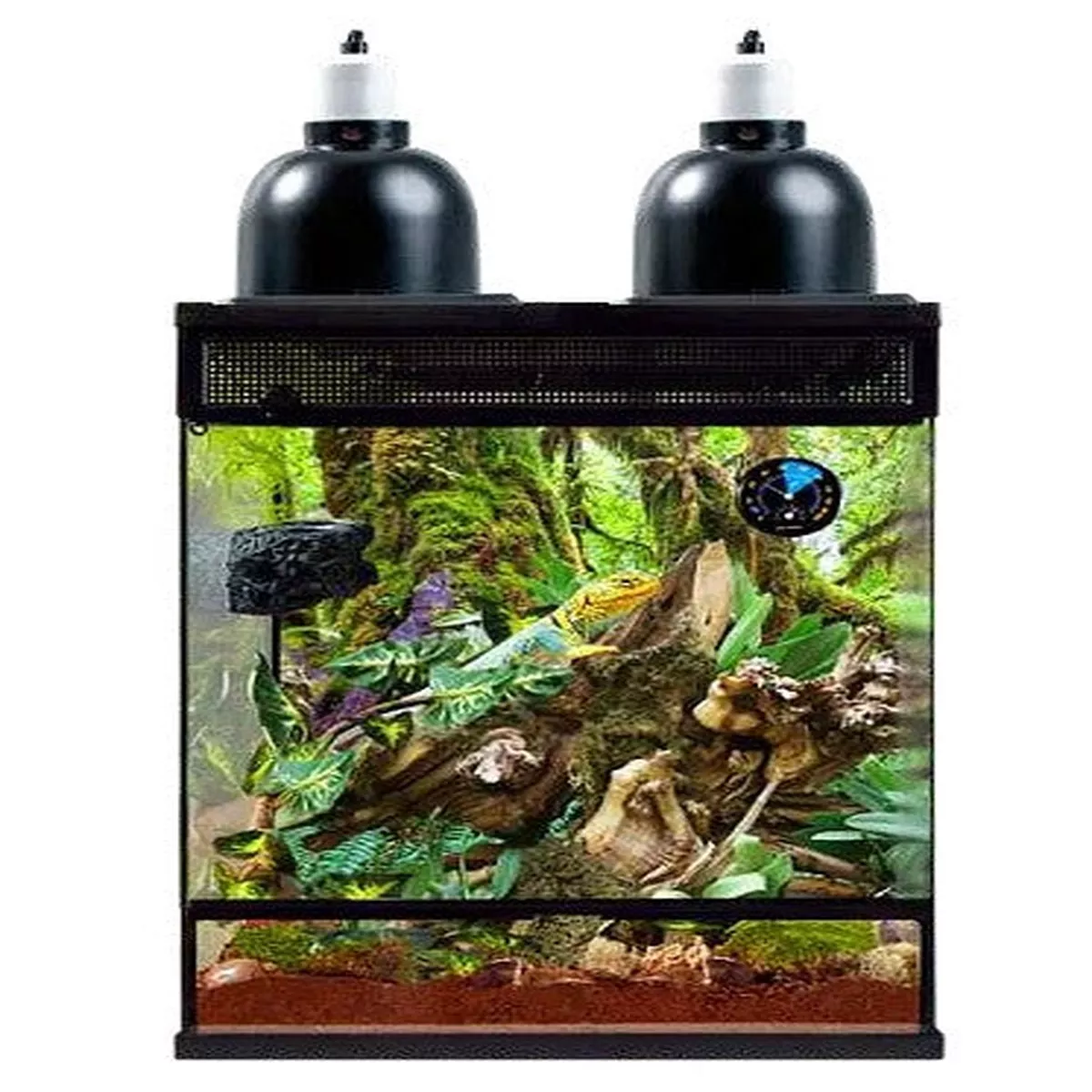 TROPICAL TERRARIUM SKT30