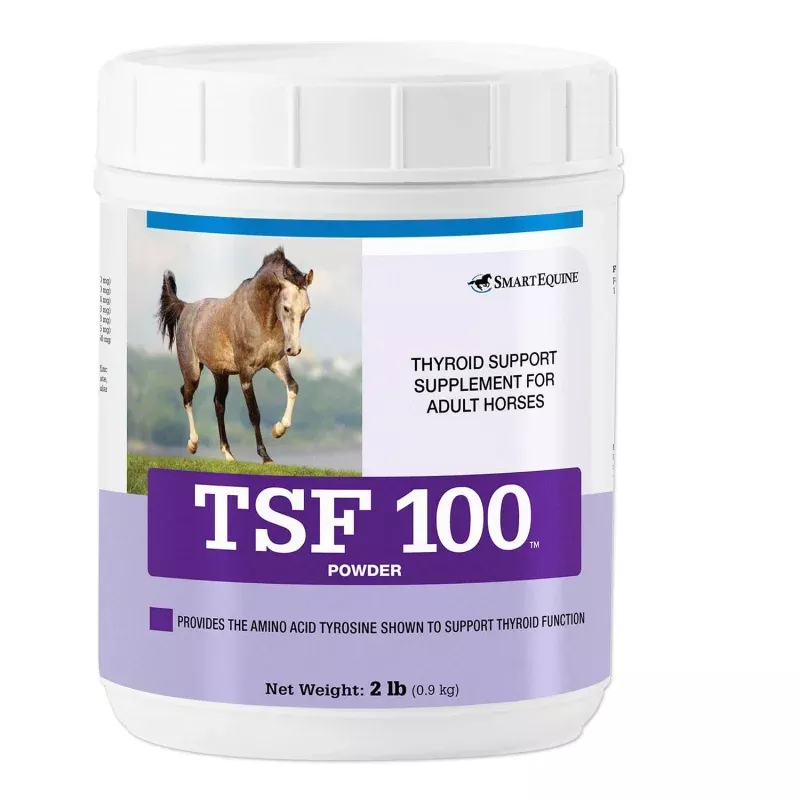 TSF 100, Thyroid Support Supplement for Horses, Powder