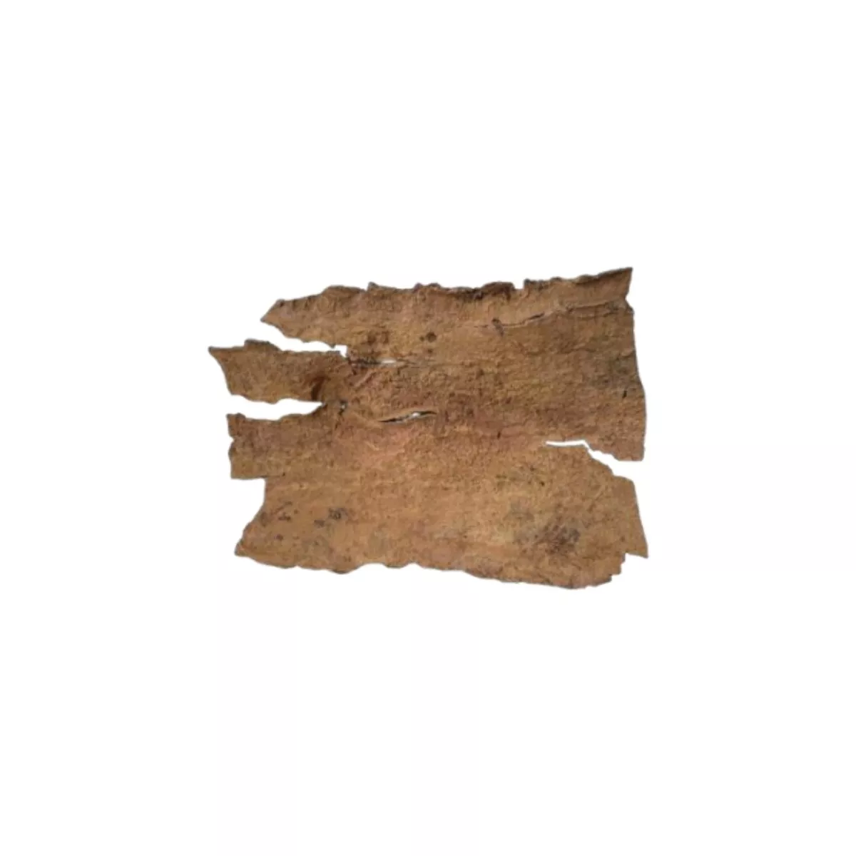 TURTLE BARK