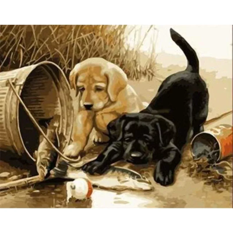Two dogs playing – Transform Your Backyard into a Wildlife Oasis for All Creatures