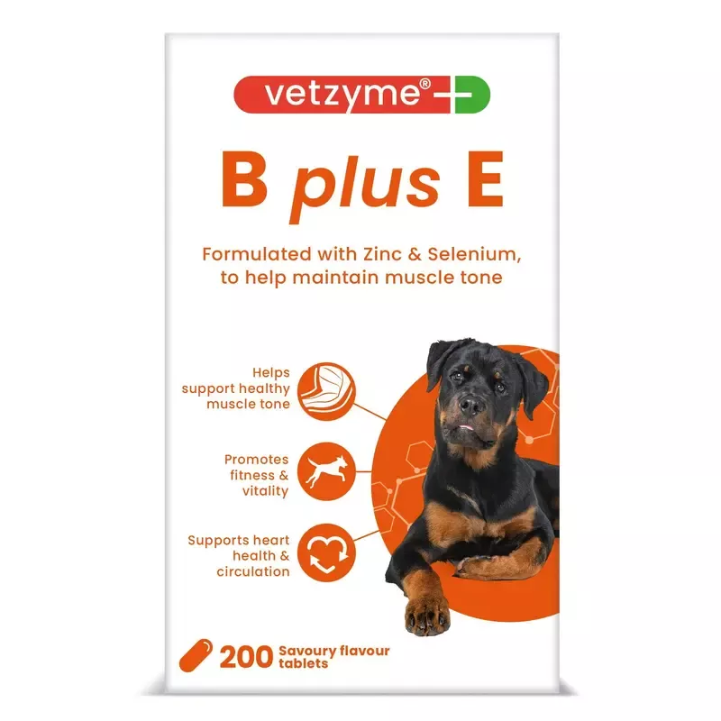 Vetzyme Dog B + E 200 Tablets