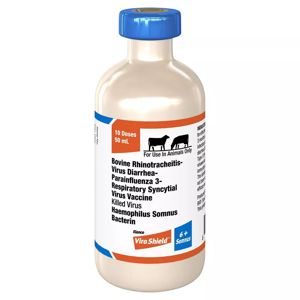 Vira Shield 6+Somnus Cattle Vaccine