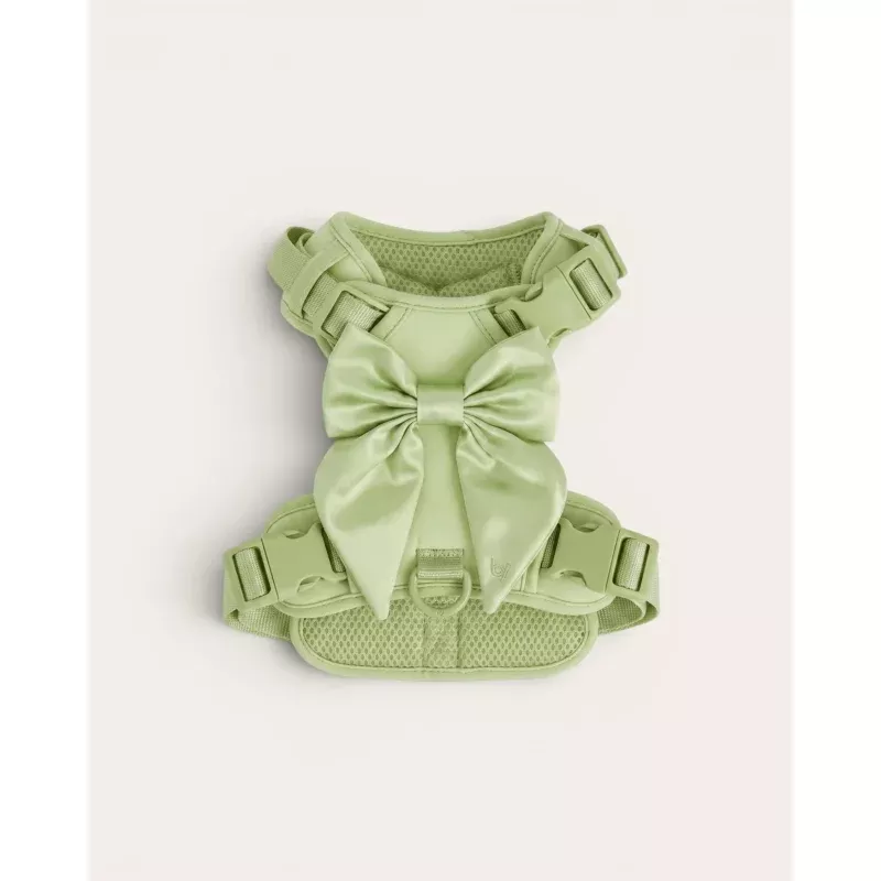 Wander! Bow Harness 2.0 - Matcha Matcha