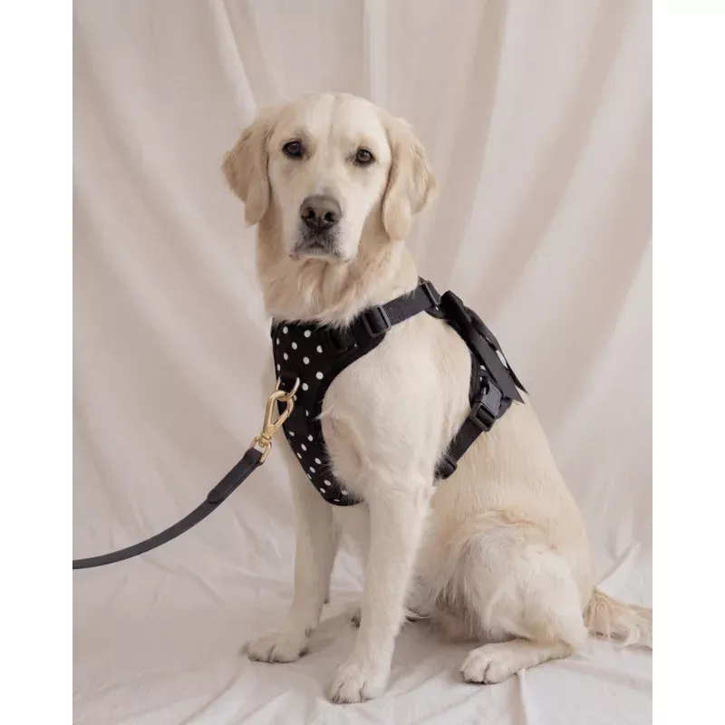 Wander! Bow Harness 2.0 - Midnight Polka Dot Midnight Polka Dot