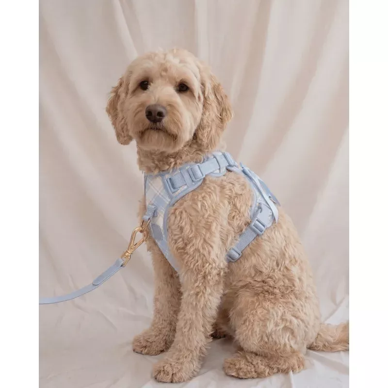 Wander! Bow Harness 2.0 - Seaside Plaid Seaside Plaid