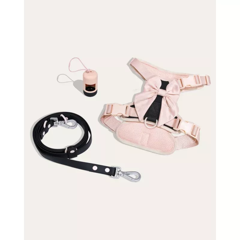 Wander! Bow Harness Kit Ballerina Ballerina