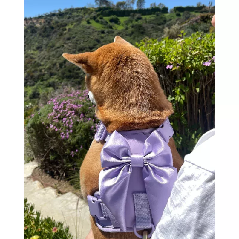 Wander! Bow Harness Lilac Lilac