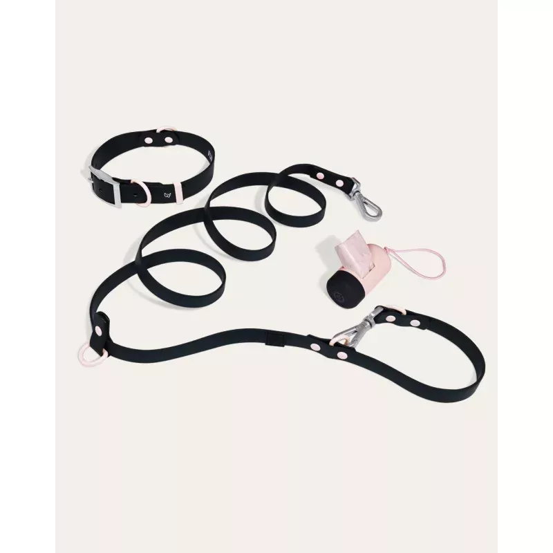 Wander! Collar Kit - Ballerina Ballerina