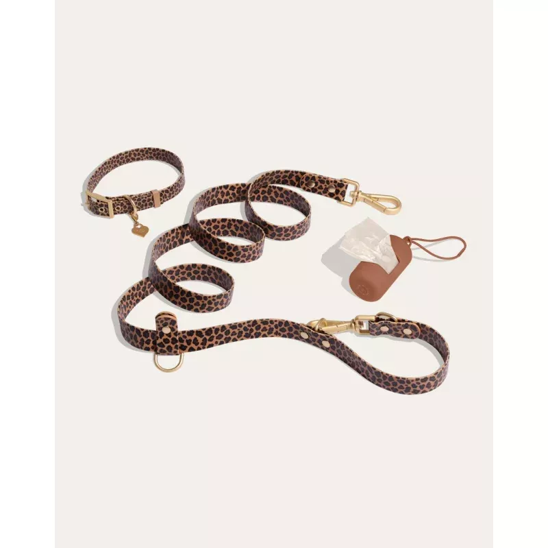 Wander! Collar Kit - Leopard Leopard