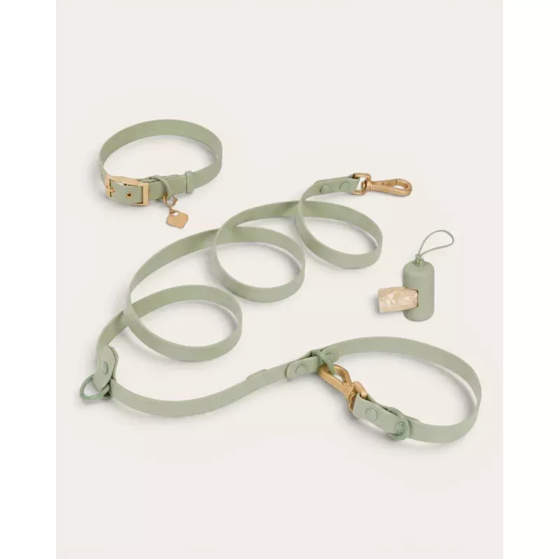Wander! Collar Kit - Matcha Matcha
