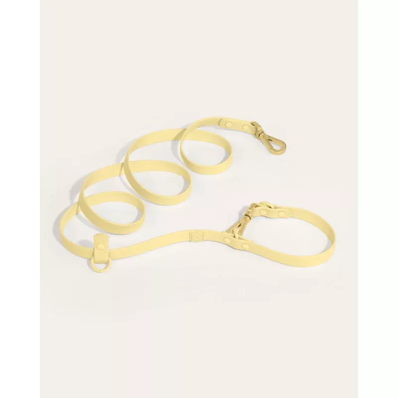 Wander! Multiway Leash - Buttercream Buttercream