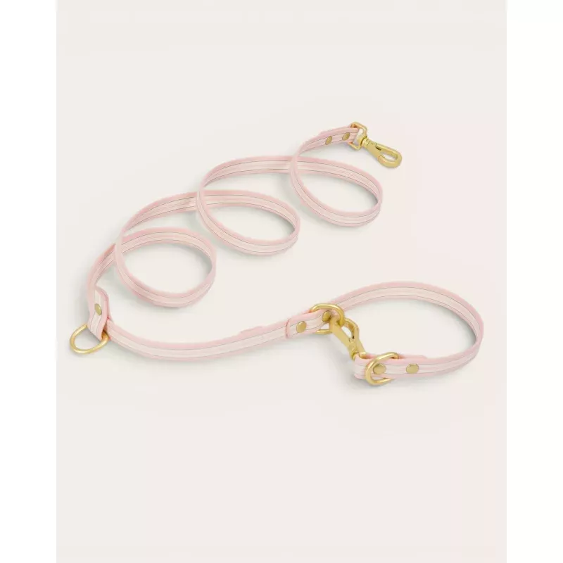 Wander! Multiway Leash - Lemonade Stripe Lemonade Stripe