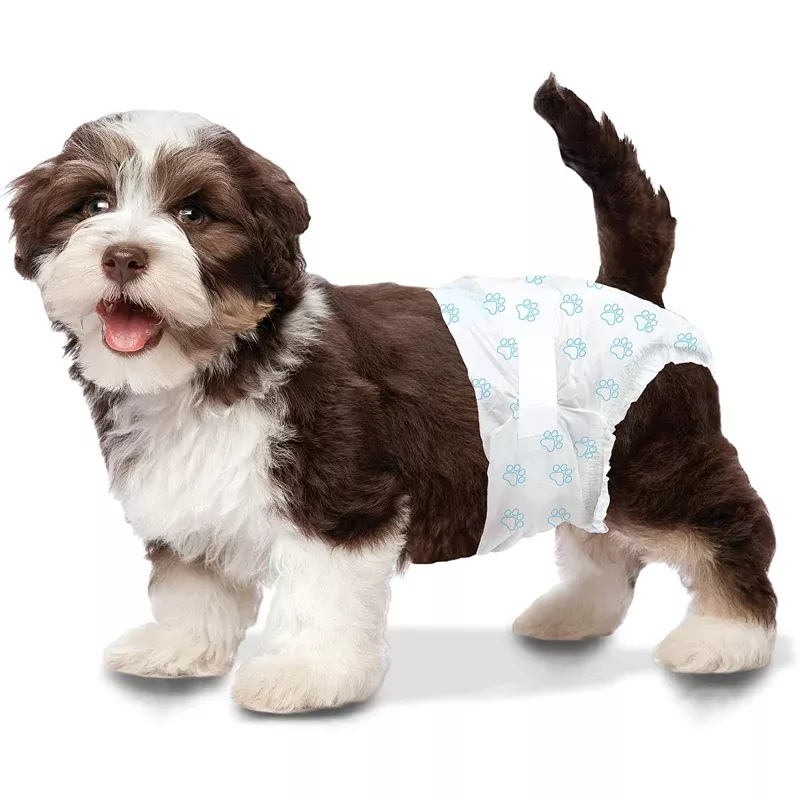 Wee-Wee Disposable Diapers