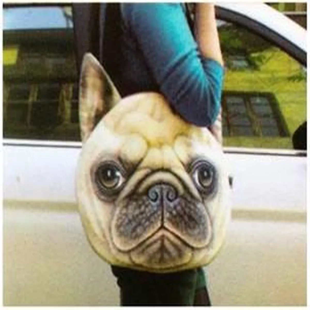 White Elephant Gift, Dog or Cat Tote Bag