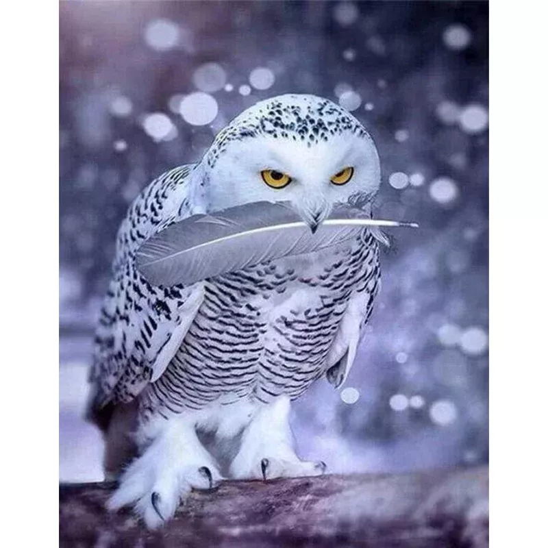 White Owl – Transform Your Backyard into a Wildlife Oasis for All Creatures