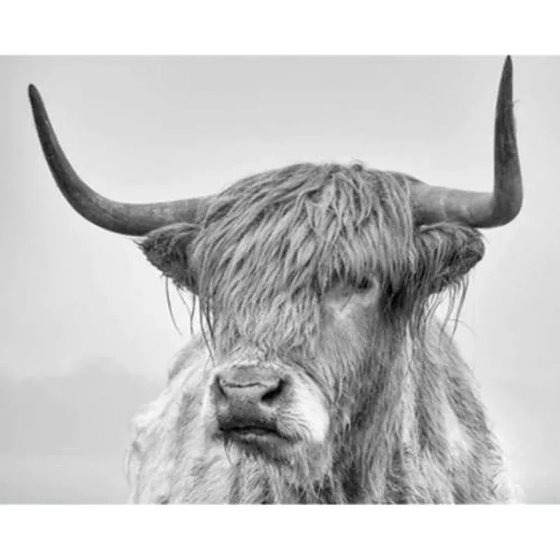 White Yak – Transform Your Backyard into a Wildlife Oasis for All Creatures