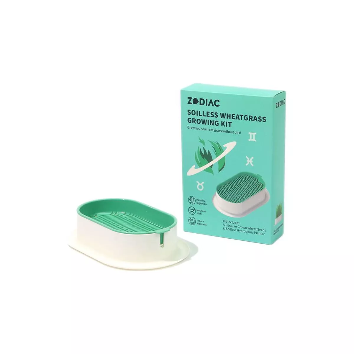 ZODIAC Soilless Wheatgrass Cat Grass Growing Kit - Green